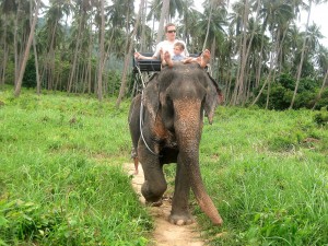 Koh Samui Elephant Ride