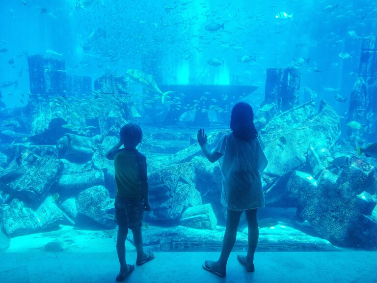 Top Summer Activities for Kids in Dubai Baby Loves to Travel